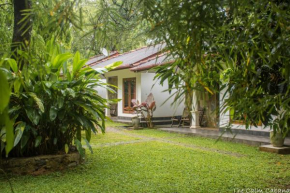The Calm Cabana